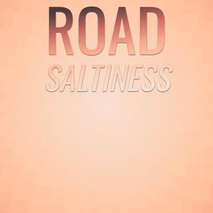 Road Saltiness