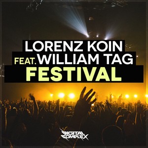 Festival (Original Mix)