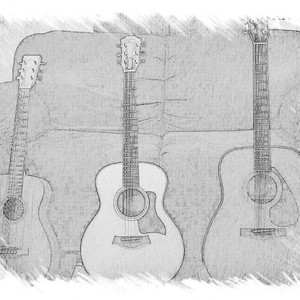 Acoustic Guitars X