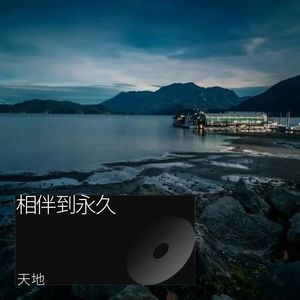 相伴到永久-DJ男t声版