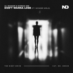 Don't Wanna Lose (Extended Mix)