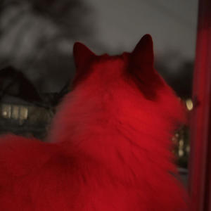 bad ***** habit (Explicit)