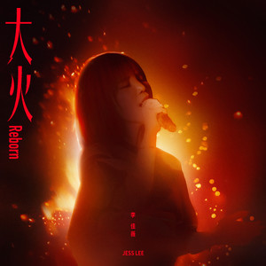 大火 (Reborn)封面