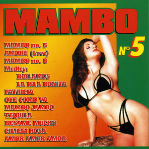 Mambo N. 5