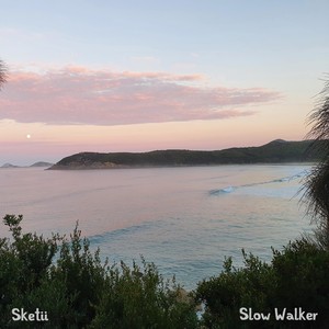 Slow Walker