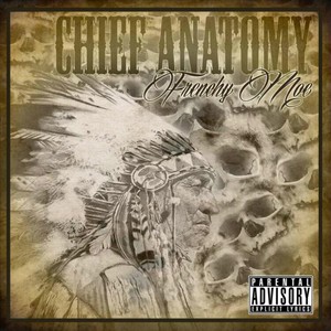 Chief Anatomy