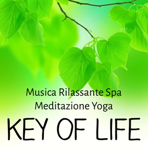 Key of Life - Musica Rilassante Spa Meditazione Yoga per Tecniche di Rilassamento Massaggi Benessere e Reiki Terapia