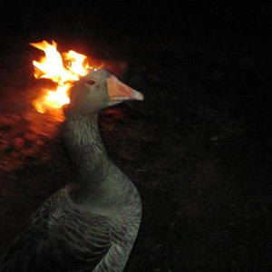 know how to fight (Explicit)