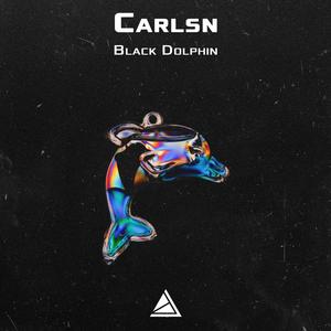 Black Dolphin