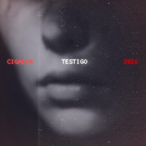 CIGALPA - Testigo