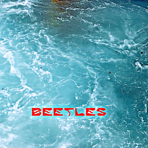 Beetles