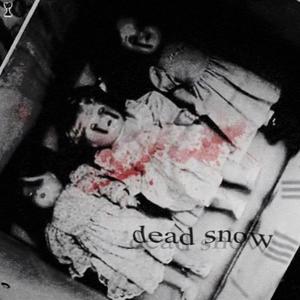 Dead Snow (Explicit)