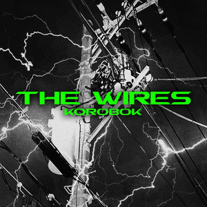 THE WIRES (prod. VisaGangBeatz & MoneyEvery) [Explicit]