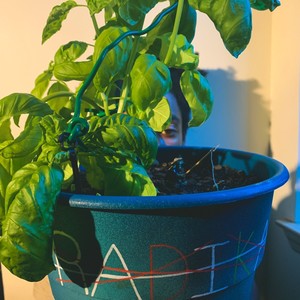 FirstSightpher '16 (feat. King Cole) (Explicit)