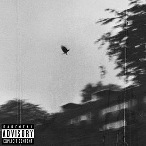 Graveyard (feat. GloomyXay & NvmeLess) [Explicit]