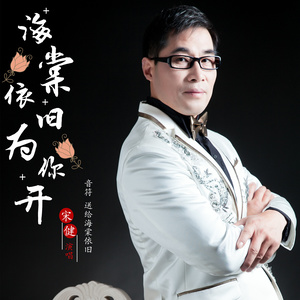 宋健 - 海棠依旧为你开 (伴奏)