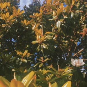 I Don't Feel the Same (Part Two) (Explicit)