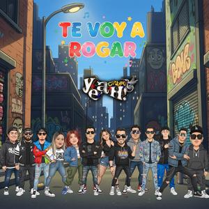 Te Voy A Rogar