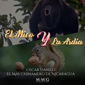 El Mico Y La Ardia