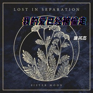 我的爱已经被偷走