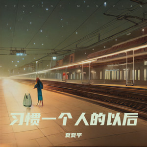 习惯一个人以后