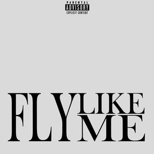 Fly Like Me (Explicit)