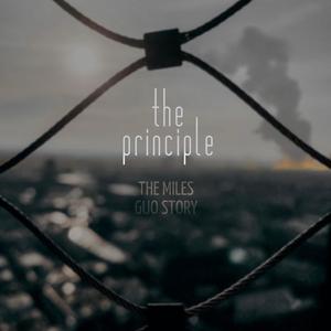 The Principle (Explicit)