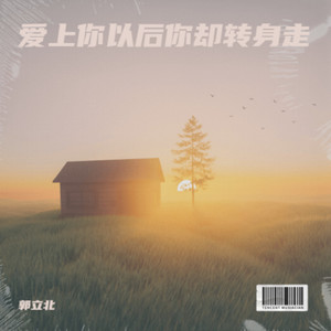 爱上你以后你却转身走