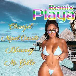 Playa (feat. Miguel Oscarito, Blawuey & Mr. Grillo) (Remix|Explicit)