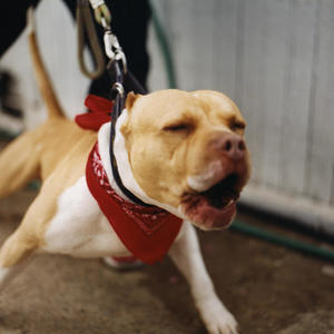 SmokeWithMe (feat. jaysenlazy) (Explicit)