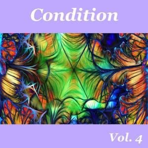 Condition, Vol. 4