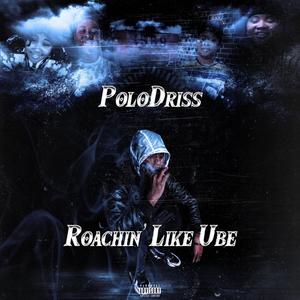 Breesha (feat. GABOS Ko) (Explicit)