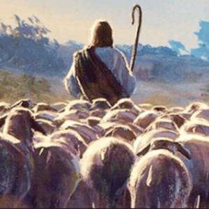 HE TOOK THE LEAD (Explicit)