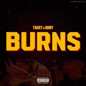 BURNS (feat. ODINY) [Explicit]