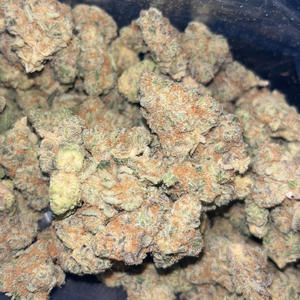 Bark (feat. JADEACYHILL) (Explicit)