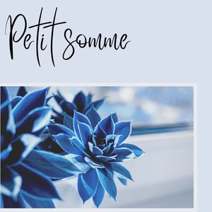 Petit somme: Les chansons instrumentales pour détente, pour s'endormir dans l'après midi et dormir profondement la nuit