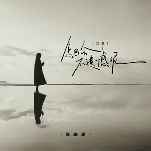 街角的晚风-森淼淼&失眠的猫