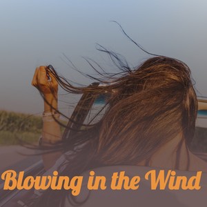 Blowing in the Wind