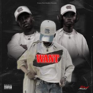 Want (Explicit)