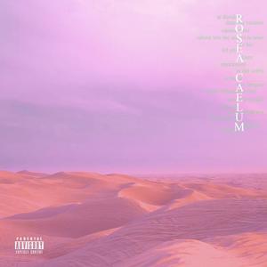 LLEVARTE(feat. Sukla6) (Explicit)