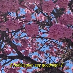 bubblegum say goodnight