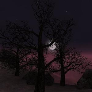 WANNABE REVEREND (Explicit)