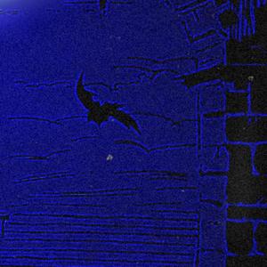 NOTTE (Demo|Explicit)