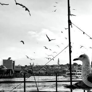 Bomboş(feat. se7en) (Explicit)