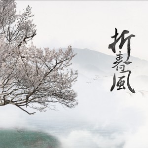 折春风