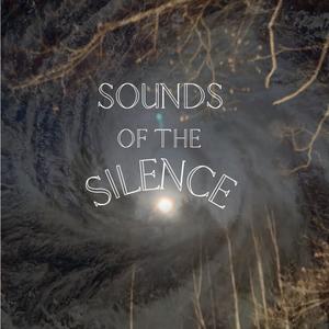 sounds of the silence