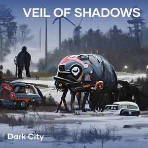 Veil of Shadows