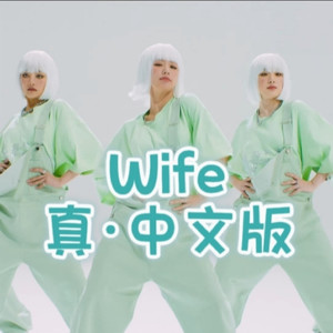 wife中文