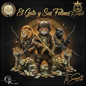 El Gato y Sus Felinos.