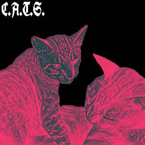 C.A.T.S. (feat. certo1k & Kanashi Boi) (Explicit)